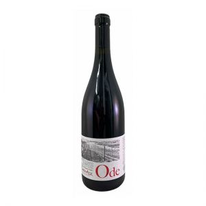 cantinarte ode montepulciano doc