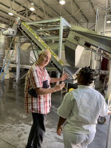 Dylan at the grape harvest in Krone