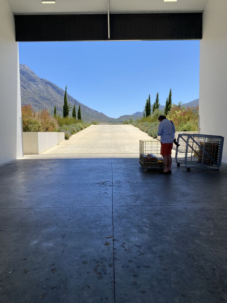 A view from Twee Jonge Gazellen winery